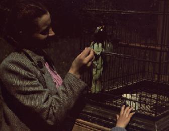 zoo
