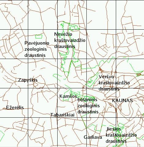 kaunas