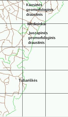 rudninkai