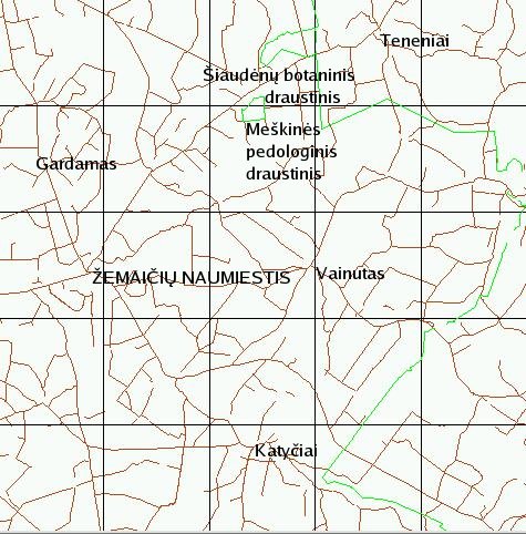zemaiciu naumiestis